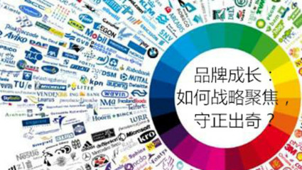 品牌管理 構建與維護企業(yè)核心價值