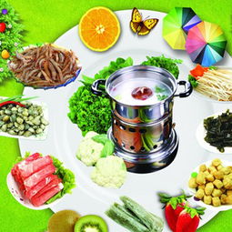 飛龍火鍋 產(chǎn)品圖鑒、加盟店實(shí)力與專業(yè)餐飲管理解析